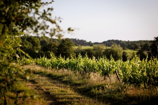 Domaine du Champ Chapron