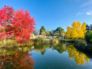 LES JARDINS DE L 'ANJOU