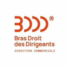 VDJ Consulting